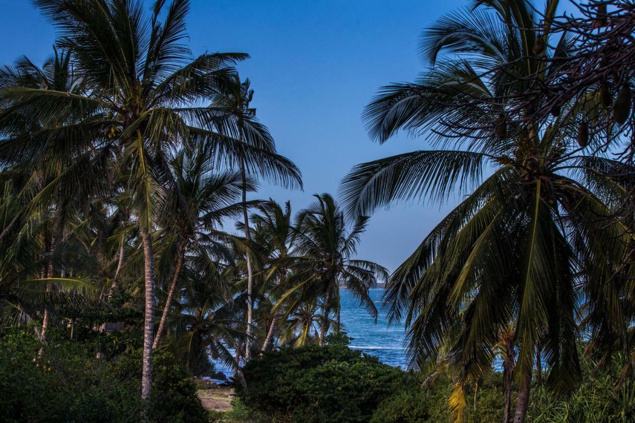 Msambweni Beach House Villa Exterior photo